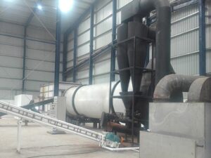 Paddle Rotary Dryer