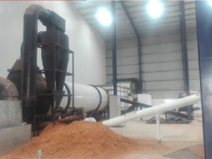 Paddle Rotary Dryer
