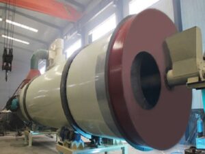 Paddle Rotary Dryer